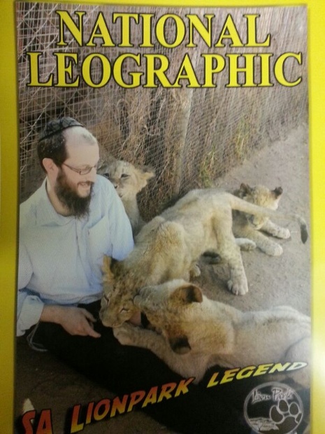 lionpark.jpg