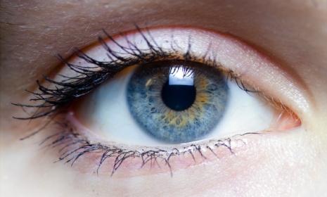 eye.jpg